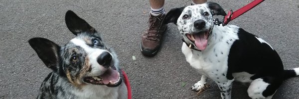 grant_science Profile Banner