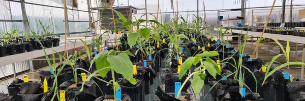 javpalde Profile Banner