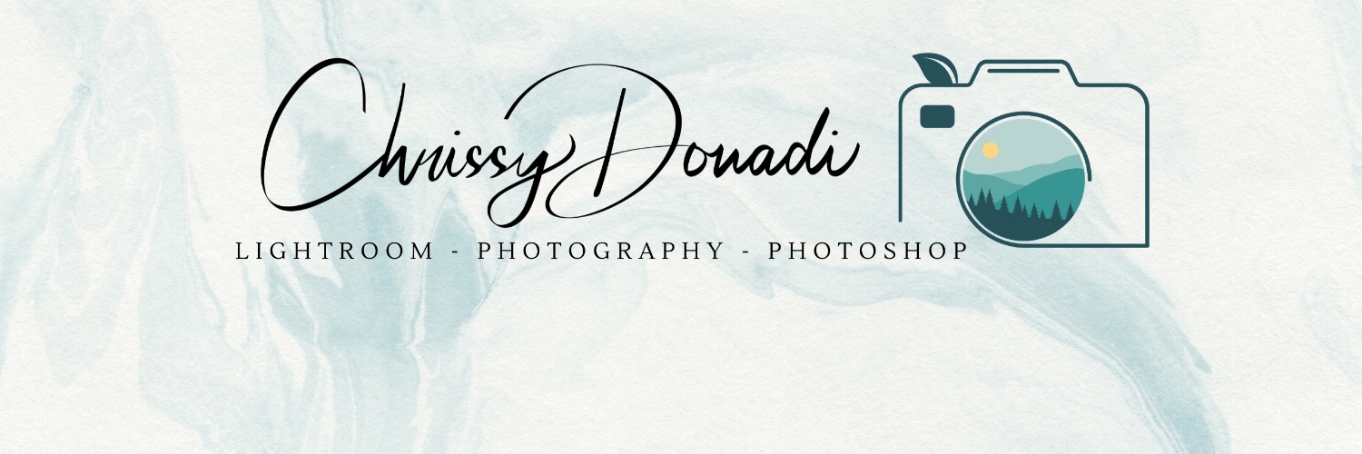ChrissyDonadi's profile banner image