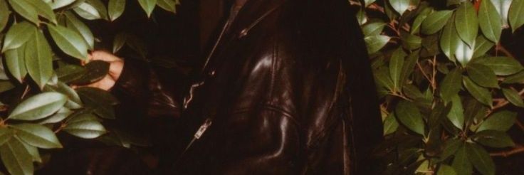 d ✶ banner
