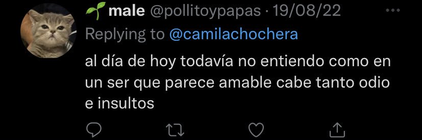 camilachochera's profile banner image