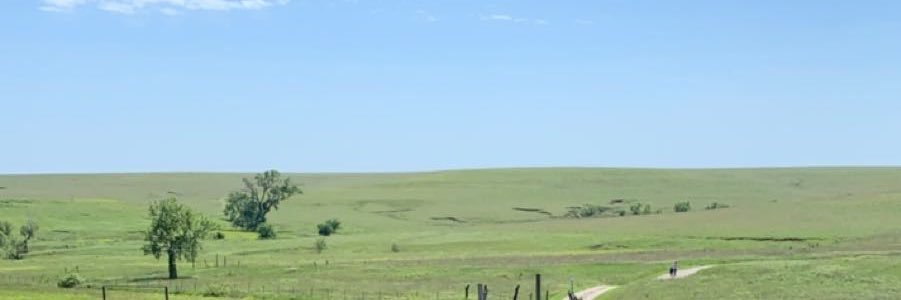 CollinAIngram's profile banner image