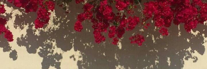 inrspired's profile banner image