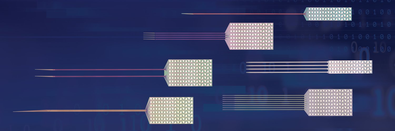 Diagnostic Biochips's banner