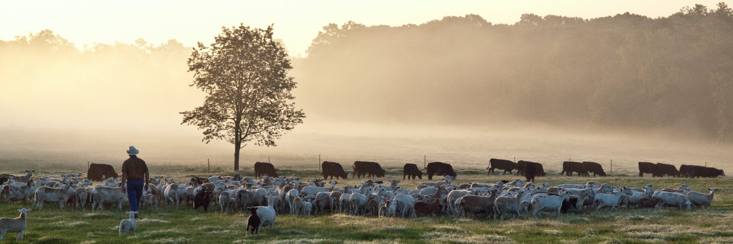 The (Re)Generation banner