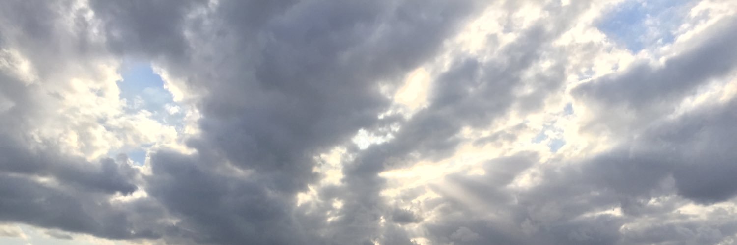 brownie. banner