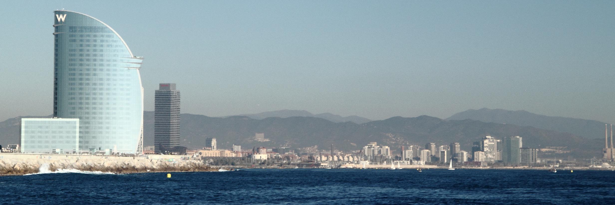 Xavier M Triado banner