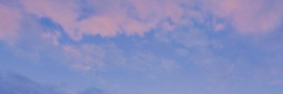 meeowchiii's profile banner image