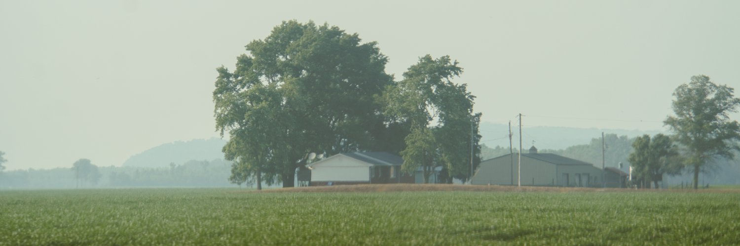 liveIyy's profile banner image