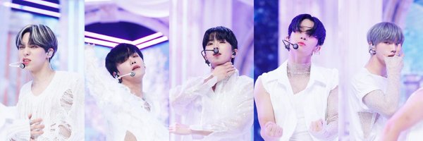 WanderStarlight Profile Banner