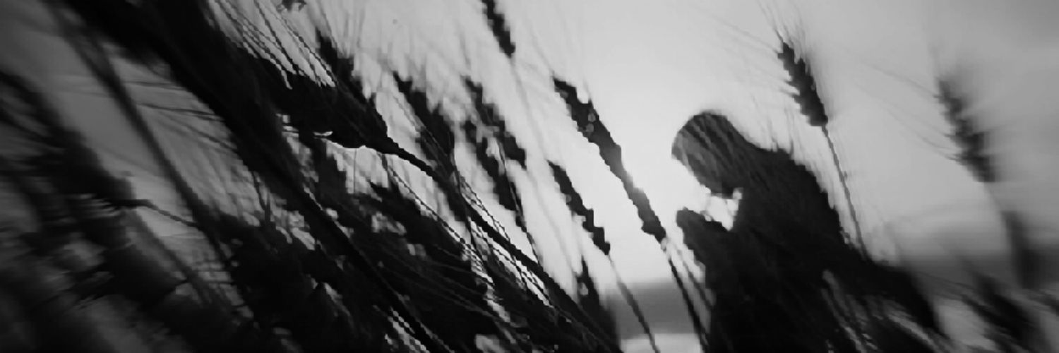FJXSNIPER's profile banner image