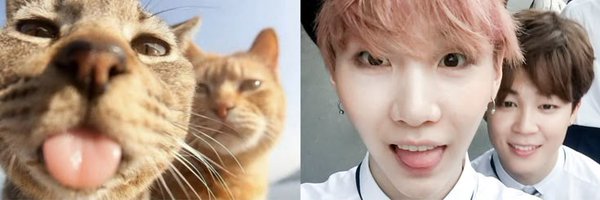 hi6nyu Profile Banner
