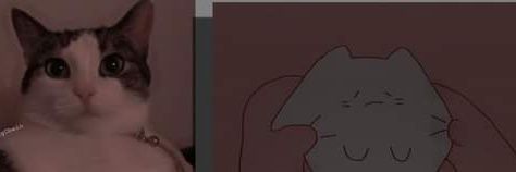 sweetxfer's profile banner image