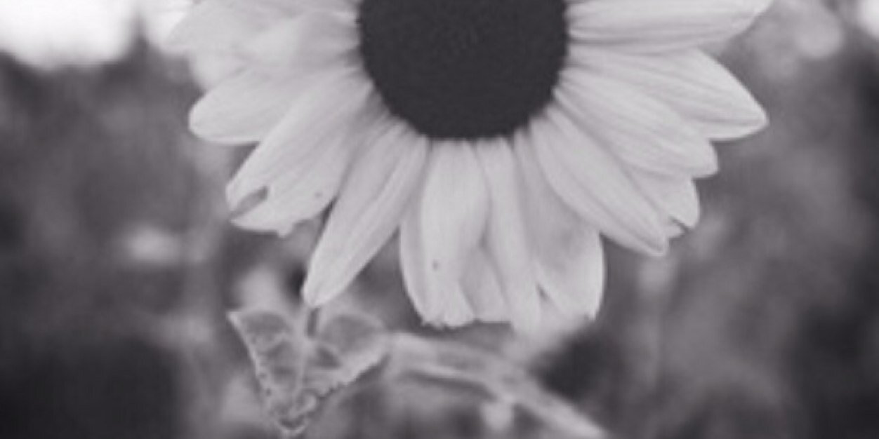 hailey_halby's profile banner image