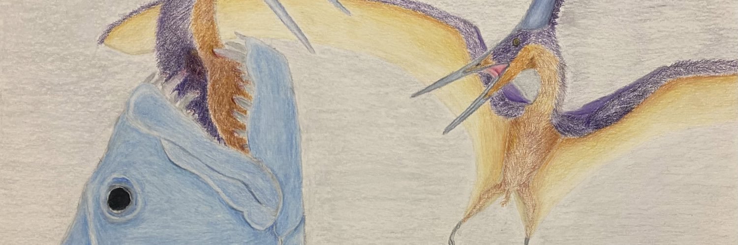 Toitle 🇮🇷🍉 -THIS SPACE INTENTIONALY LEFT BLANK banner