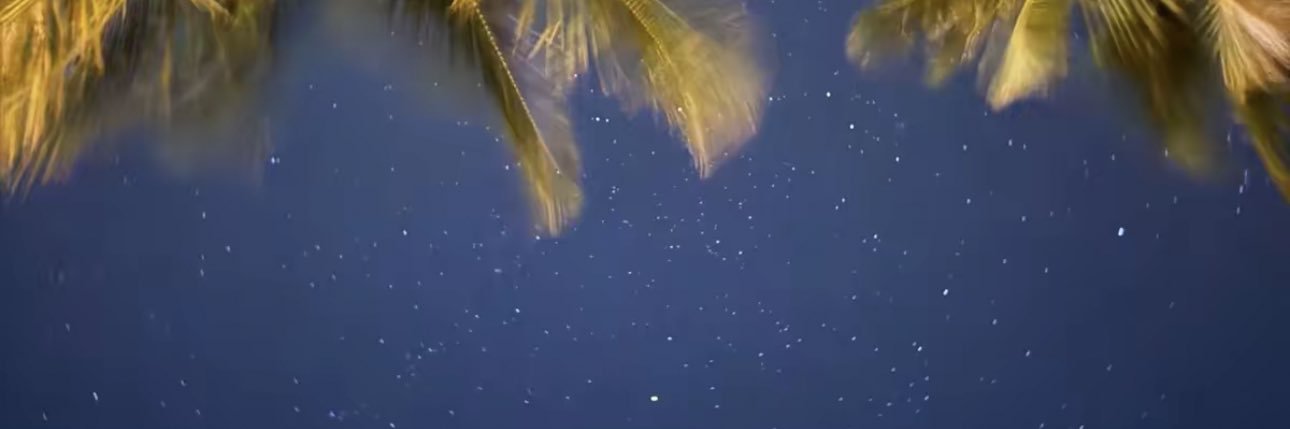 لينا الموسى banner