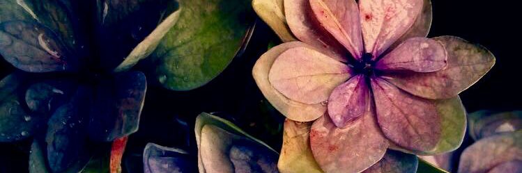 K8Mo_'s profile banner image