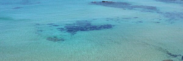 ana_vide Profile Banner