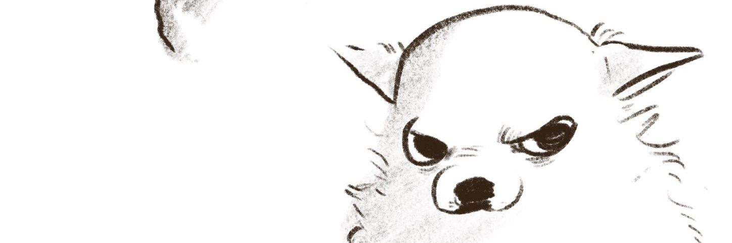 TSpandaman's profile banner image