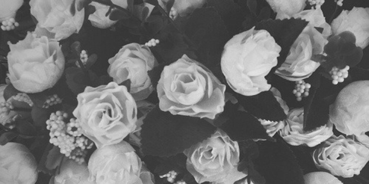 OnTeamBELIEBER's profile banner image