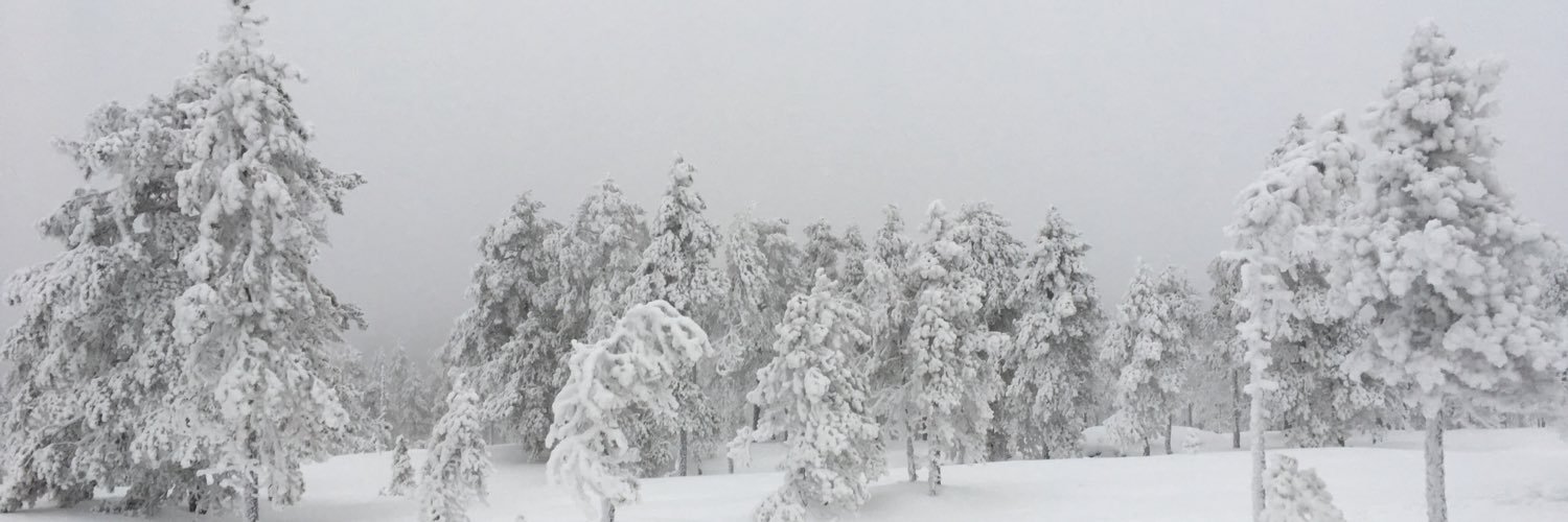 Aleksi Nyström banner