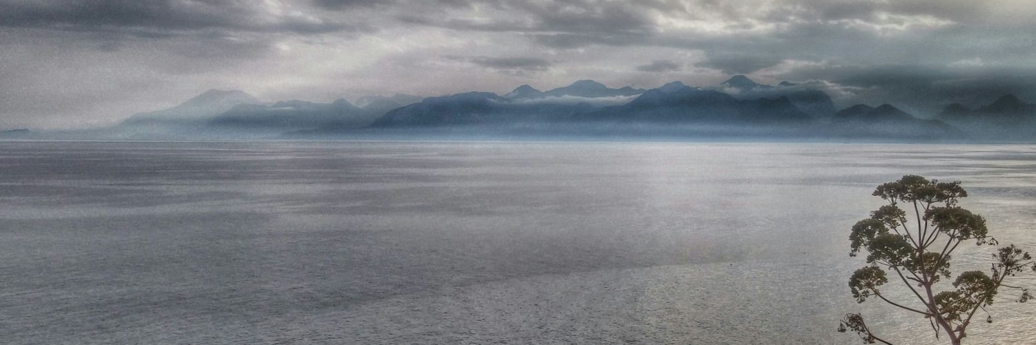 tekinsahis's profile banner image