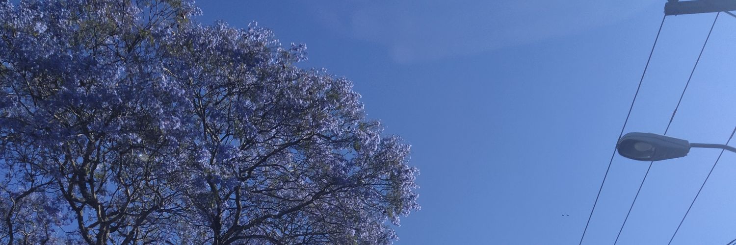 lunatrack banner