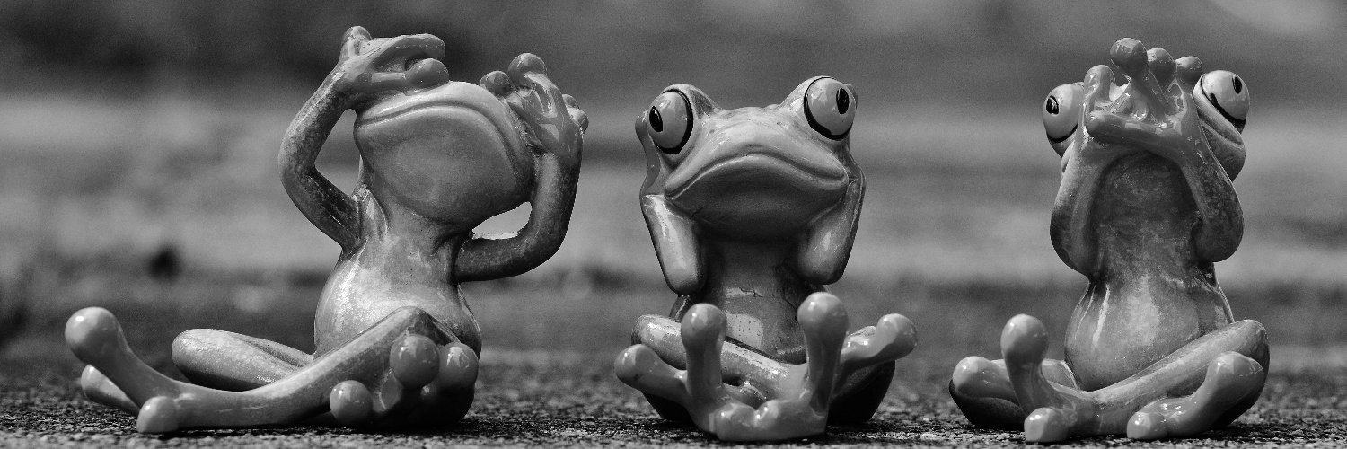 Paranoid Frog banner