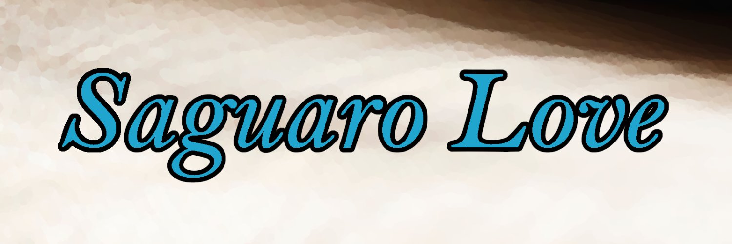 RPRWriterOfSmut's profile banner image