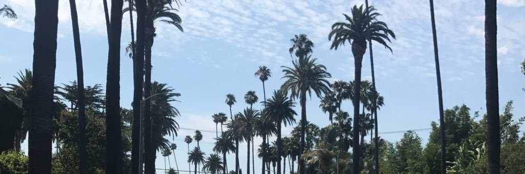 Seonaiddoc's profile banner image
