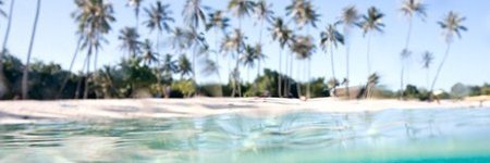 luiza526's profile banner image
