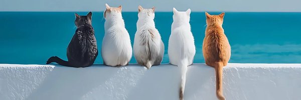 EchoNexusX Profile Banner