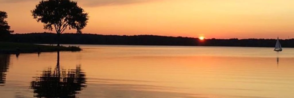 meverv's profile banner image