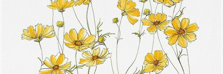 nathyestefania's profile banner image