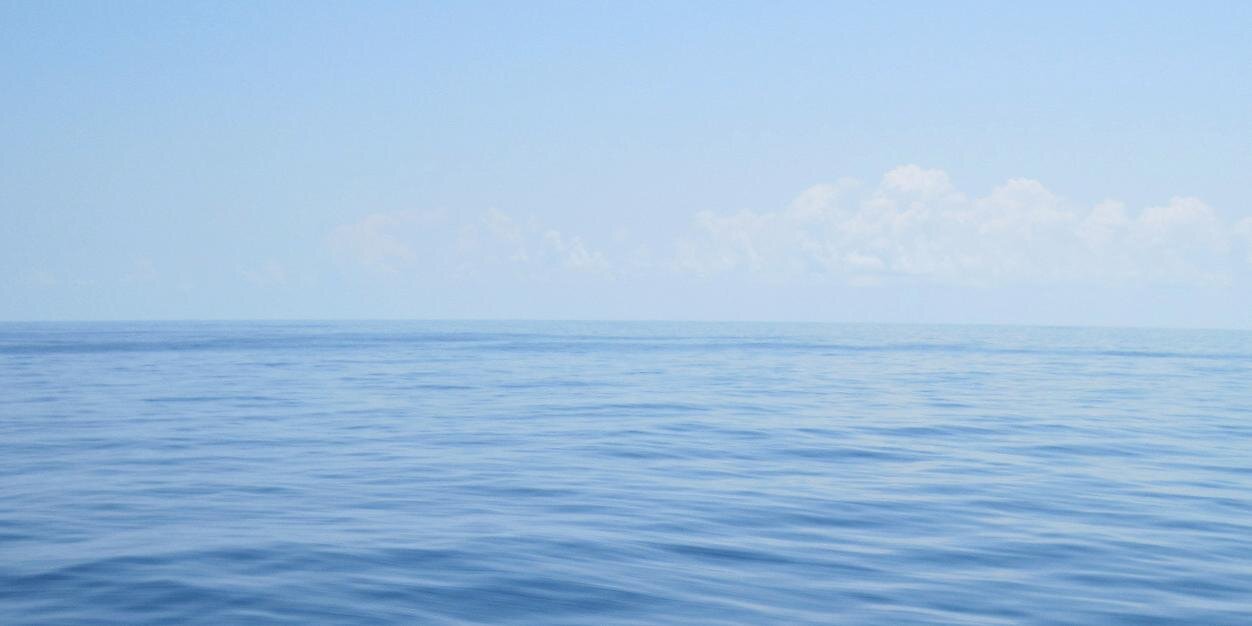 Jef D'Hollander banner