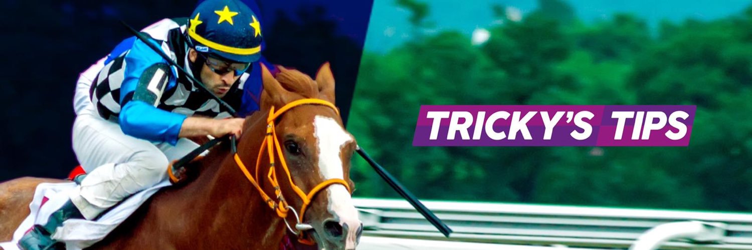 TrickysTips banner