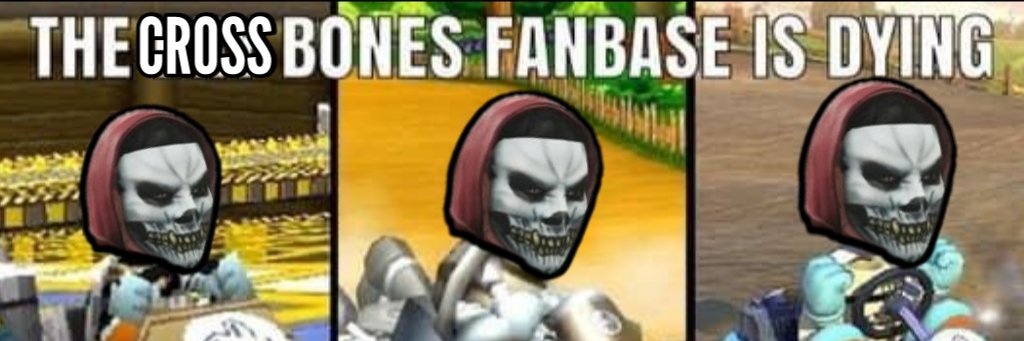 Crossbones banner