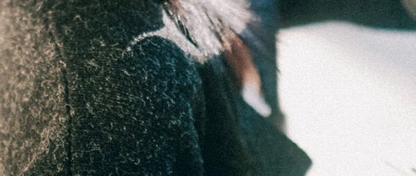 lilidyc's profile banner image