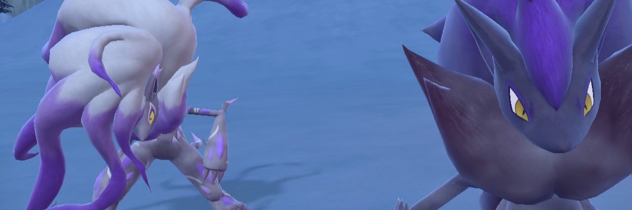 foltena571's profile banner image