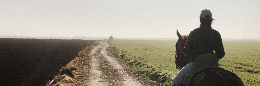 rorromr banner