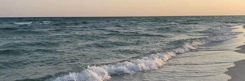 luiza_nardini's profile banner image