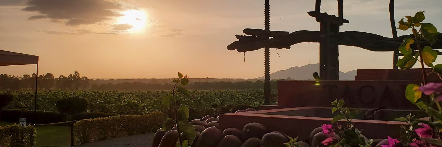 jecamorey's profile banner image