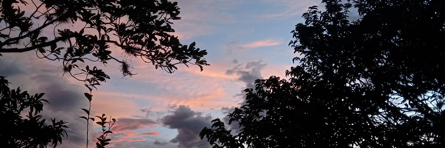 hlac02's profile banner image