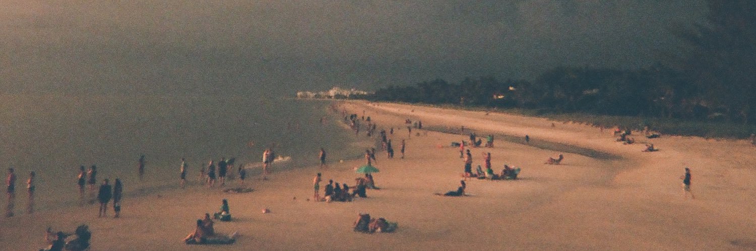 andreína fernández banner