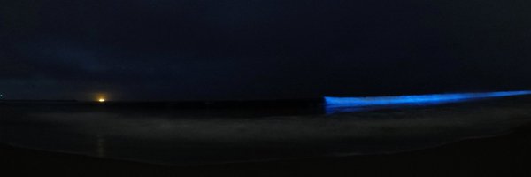 DrRobotmik Profile Banner