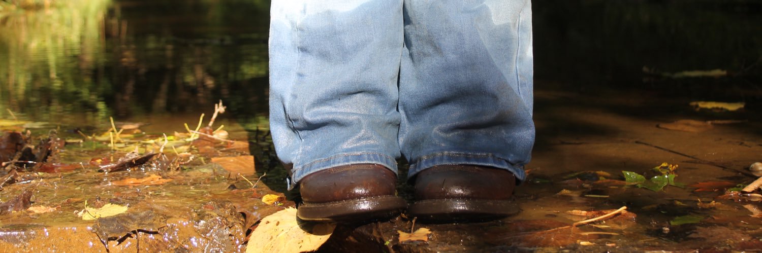 Madison Coonce banner