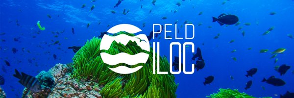 peldiloc Profile Banner