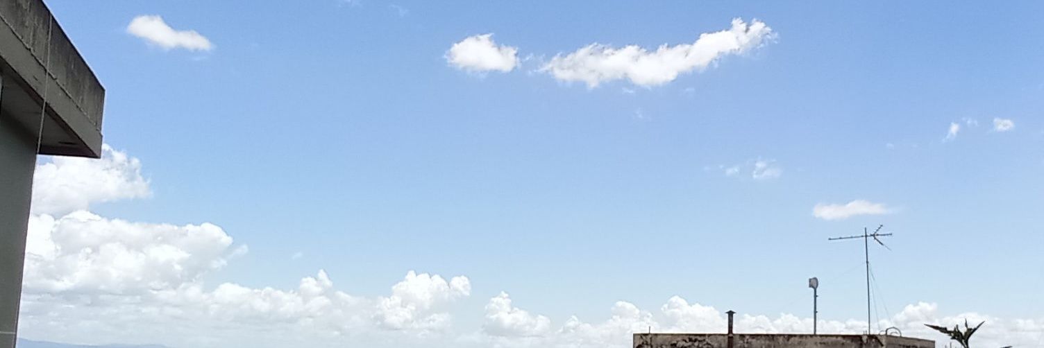 esnieves12's profile banner image
