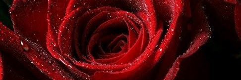 JessStefani_'s profile banner image