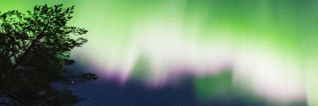 Seth Say banner